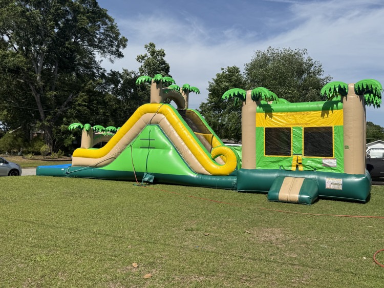 JaniJungleJump