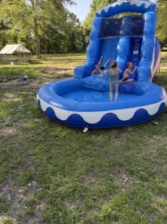 Dolphin Party Pack